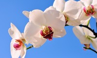 世界登山青年导师生态保护长期项目获社会资助，国际登山联合会