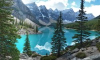 2026年世界游泳锦标赛花游项目新增团体高难度测试组，世界花样游泳比赛